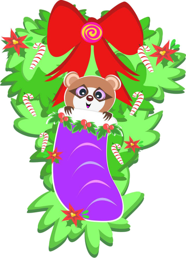 Transparent Raccoon Candy Cane Christmas Stocking Christmas Ornament Flower for Christmas