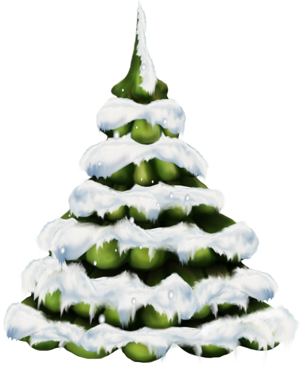 Transparent New Year Tree Tree Christmas Fir Pine Family for Christmas