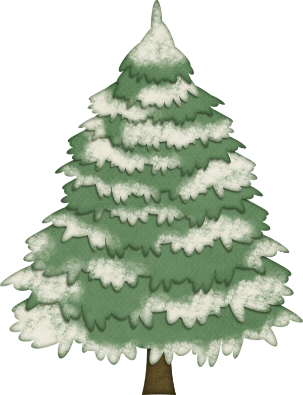 Transparent Christmas Tree Spruce Drawing Fir Pine Family for Christmas