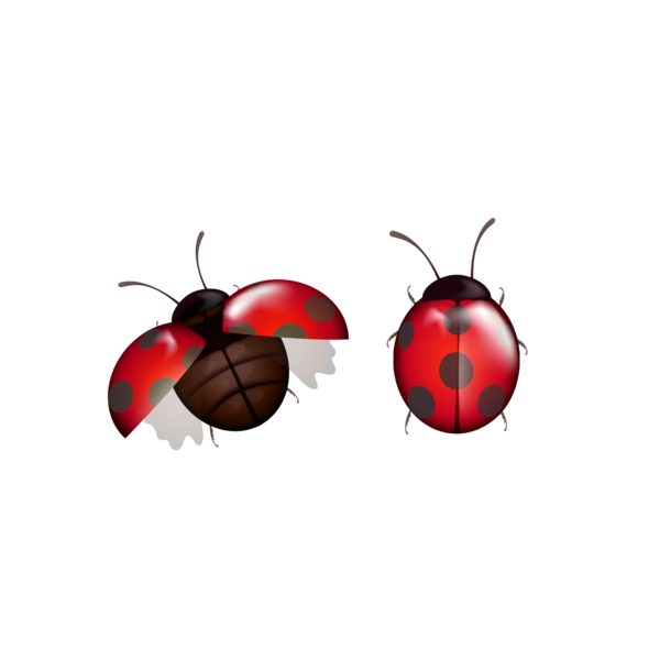 Transparent Insect Christmas Ornament Membrane Ladybird for Christmas