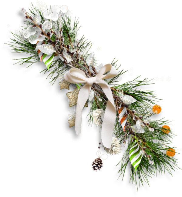 Transparent Christmas Christmas Ornament Holiday Tree Pine Family for Christmas