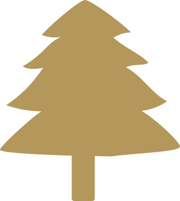 Transparent Pine Evergreen Tree Fir Pine Family for Christmas