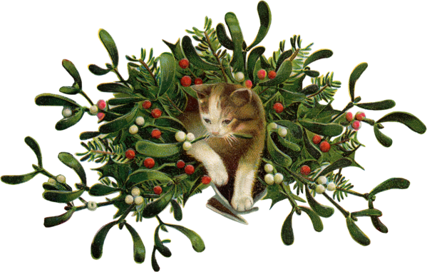 Transparent Cat Mistletoe Christmas Day Plant Rosemary for Christmas