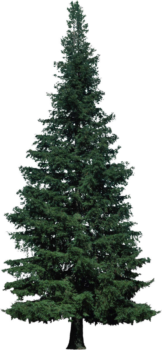 Transparent Artificial Christmas Tree Christmas Christmas Tree Fir Pine Family for Christmas