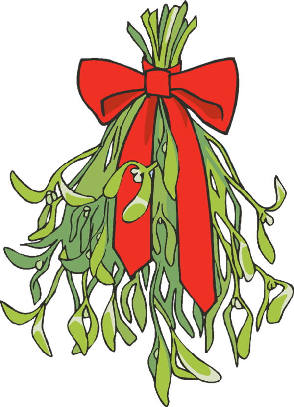 Transparent Mistletoe Christmas Phoradendron Tomentosum Christmas Ornament Christmas Decoration for Christmas