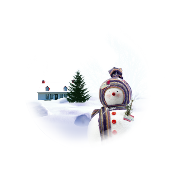 Transparent Snow Christmas Snowman Flightless Bird for Christmas