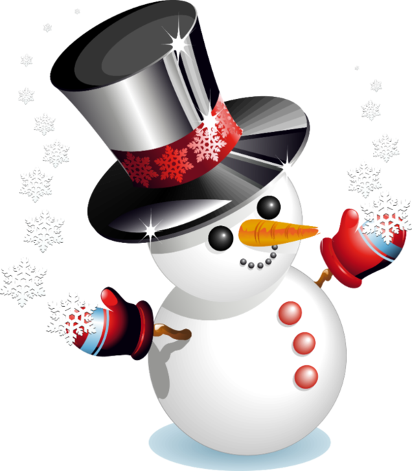 Transparent Snowman Snow Winter Flightless Bird for Christmas