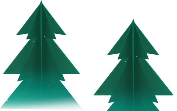 Transparent Green Christmas Tree Christmas Fir Pine Family for Christmas