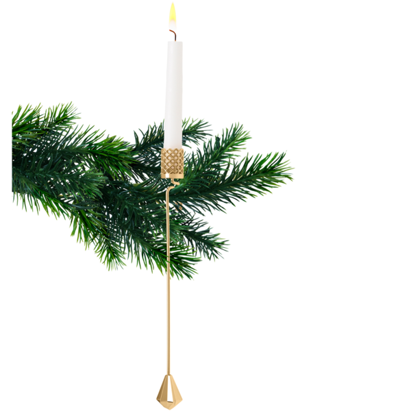 Transparent Tree Christmas Tree Candle Fir Pine Family for Christmas