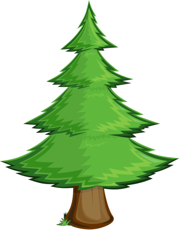 Transparent Christmas Tree Tree Pine Fir Pine Family for Christmas