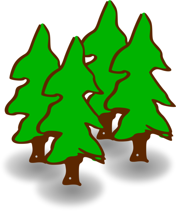 Transparent Forest Rainforest Forestry Fir Pine Family for Christmas