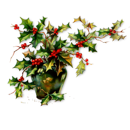 Transparent Common Holly Christmas Christmas Ornament Aquifoliaceae Holly for Christmas