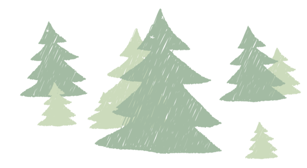 Transparent Christmas Tree Pine Tree Fir Pine Family for Christmas