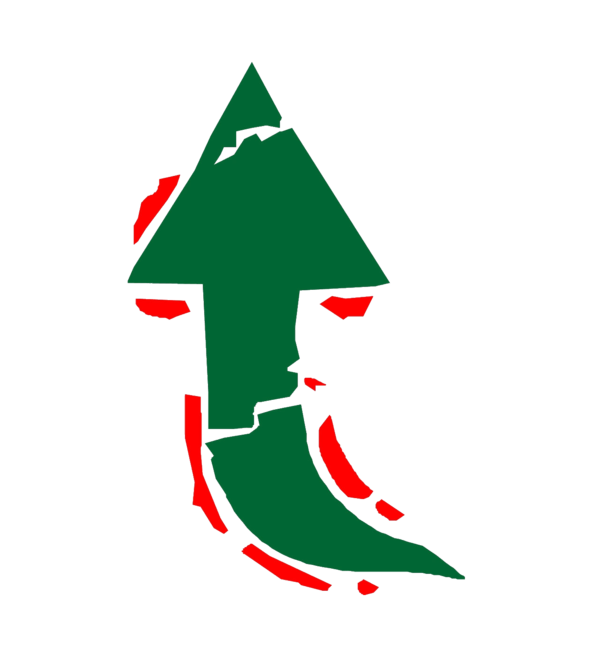 Transparent Arrow Symbol Logo Fir Pine Family for Christmas