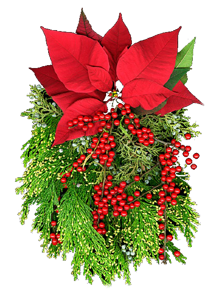 Transparent Christmas Ornament Poinsettia Flower Evergreen Pine Family for Christmas