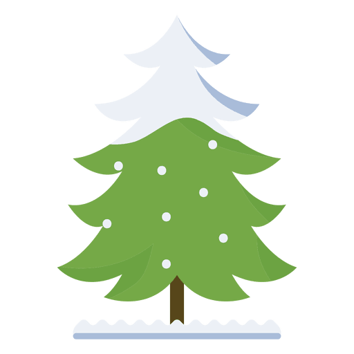 Transparent Fir Christmas Tree Christmas Day Colorado Spruce for Christmas