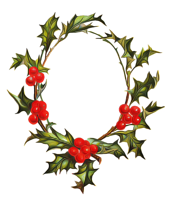 Transparent Picture Frames Borders And Frames Common Holly Holly Flower for Christmas