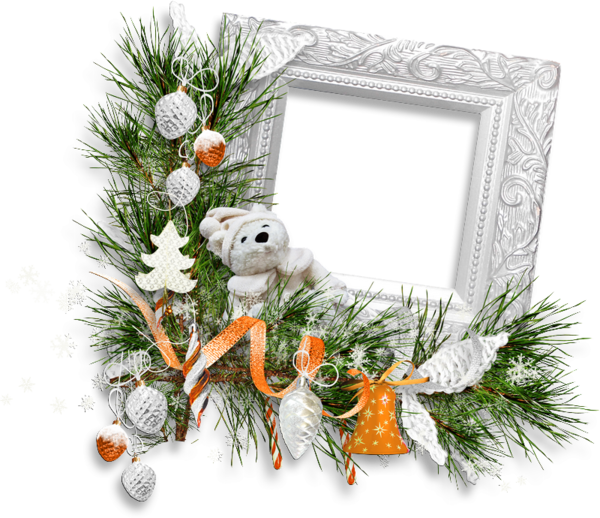 Transparent Christmas Blog Data Fir Pine Family for Christmas