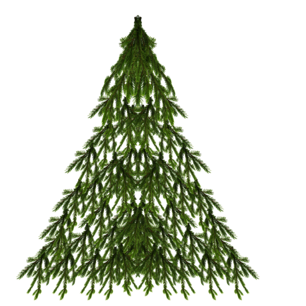 Transparent Spruce Christmas Tree New Year Tree Tree for Christmas