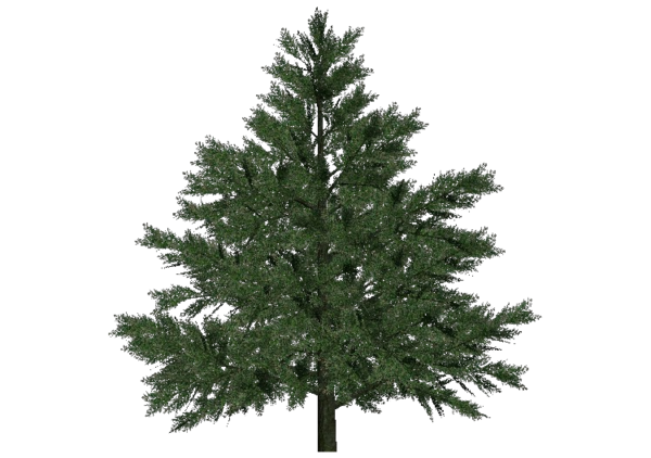 Transparent Artificial Christmas Tree Christmas Tree Prelit Tree Tree Spruce for Christmas