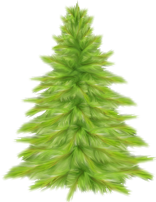 Transparent Tree Christmas Tree Fir Pine Family for Christmas