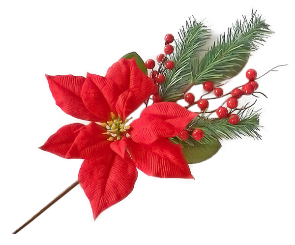 Transparent Cut Flowers Riomaster Export Flower for Christmas