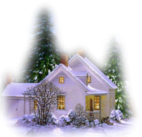 Transparent Christmas Web Browser Editing Fir Pine Family for Christmas