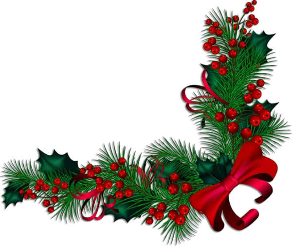 Transparent Colorado Spruce Oregon Pine Christmas Decoration for Christmas