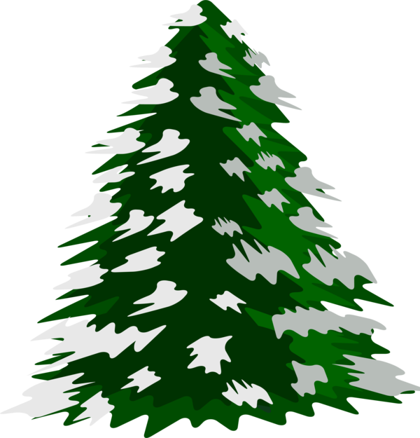 Transparent Tree Pine Christmas Fir Pine Family for Christmas