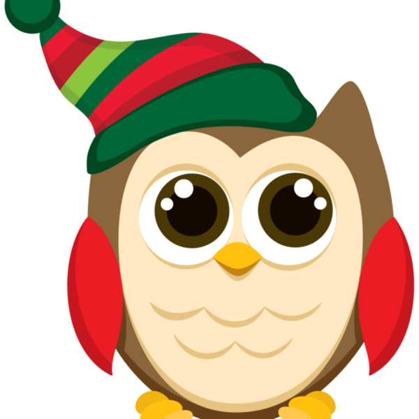 Transparent Owl Christmas Day Clip Art Christmas Cartoon for Christmas
