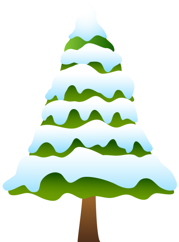 Transparent Pine Snow Tree Fir Pine Family for Christmas