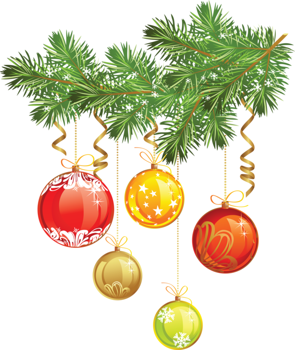 Transparent Christmas Bryansk Regional Football Federation Santa Claus Fir Pine Family for Christmas