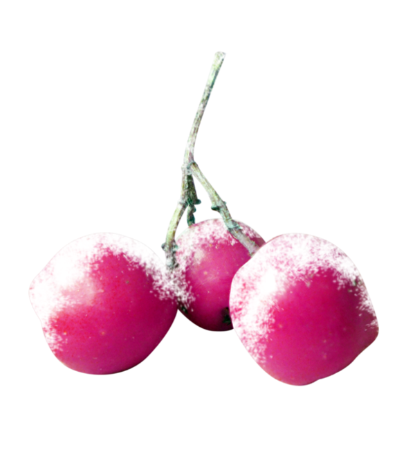 Transparent Cherry Food Fruit Magenta for Christmas