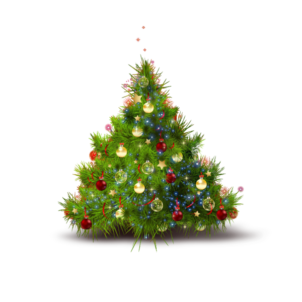 Transparent Ded Moroz Christmas Tree Christmas Fir Pine Family for Christmas