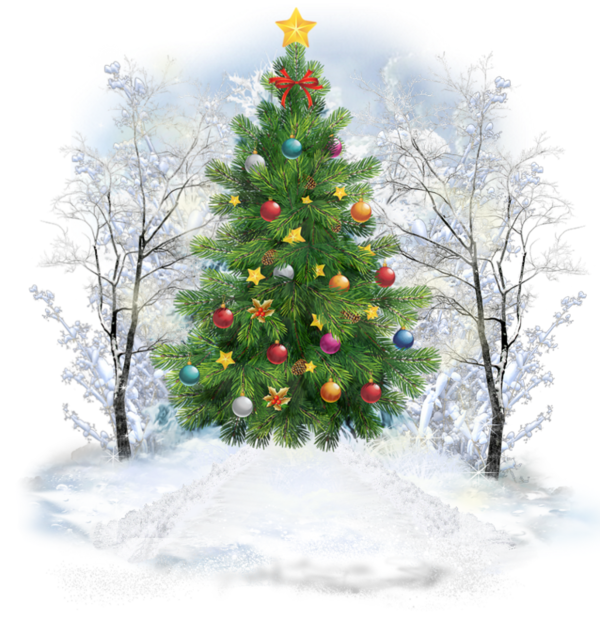 Transparent Christmas Tree Christmas Day Santa Claus Colorado Spruce for Christmas