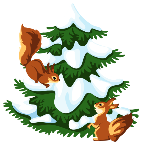Transparent Squirrel Tree Snow Fir Christmas for Christmas