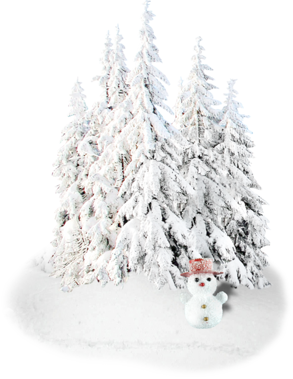Transparent Christmas Holiday Christmas Decoration Fir Pine Family for Christmas