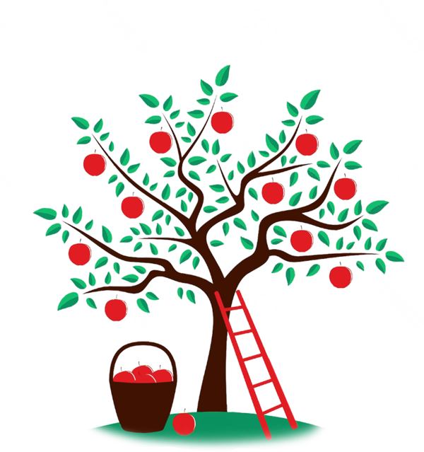 Transparent Apple Drawing Orchard Tree Woody Plant for Christmas