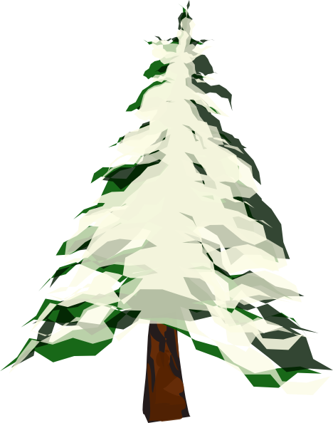 Transparent Tree Winter Pine Fir Pine Family for Christmas