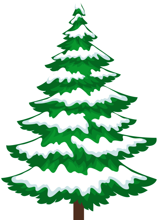 Transparent Snow Pine Tree Fir Pine Family for Christmas