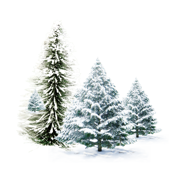 Transparent Christmas Igloo Snowman Fir Pine Family for Christmas