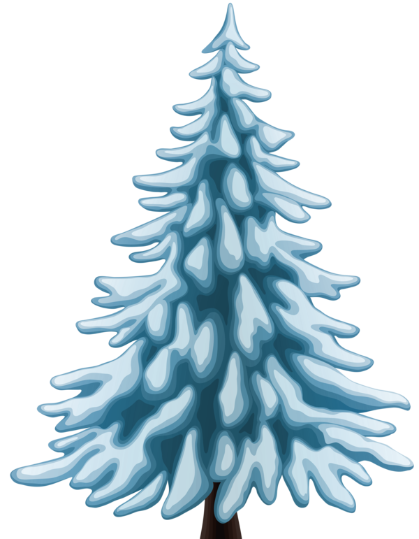 Transparent Pine Fir Tree Pine Family for Christmas