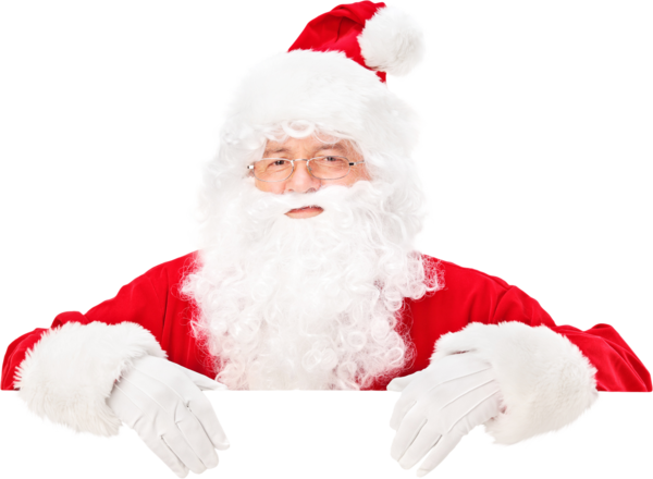 Transparent Santa Claus Labrador Retriever Golden Retriever Christmas Ornament Christmas Decoration for Christmas