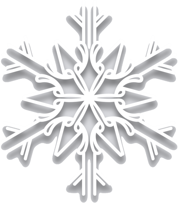 Transparent Snowflake Christmas Ornament Black White M Ornament for Christmas
