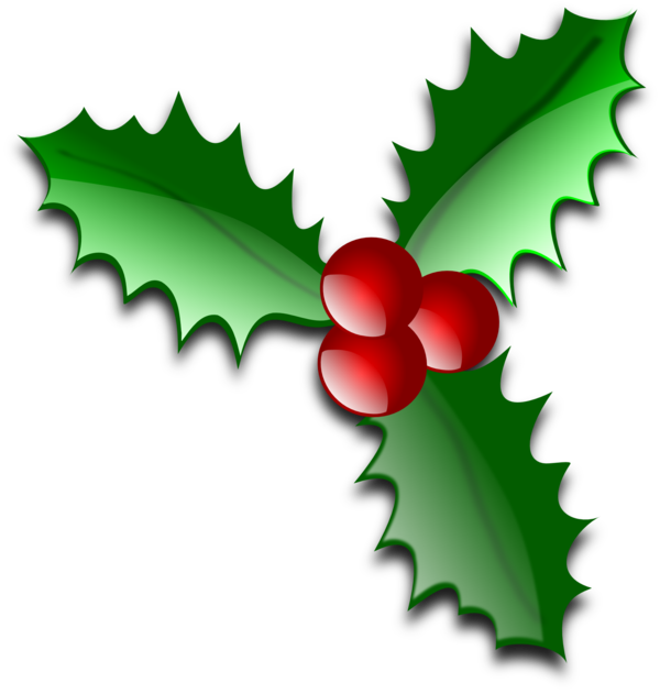 Transparent Christmas Santa Claus Logo Plant Leaf for Christmas