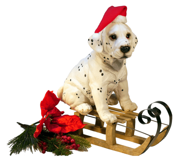 Transparent Samoyed Dog Christmas Day Symbol Dog Puppy for Christmas