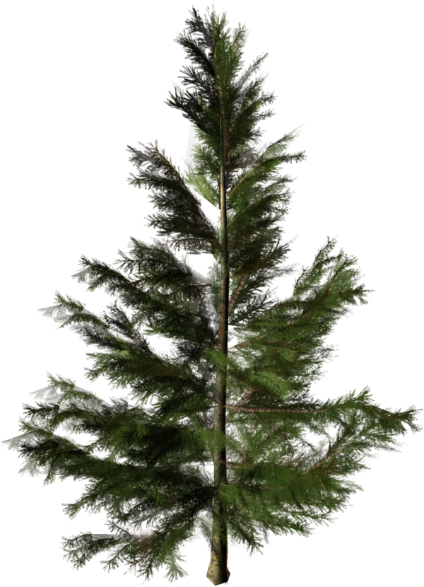 Transparent Artificial Christmas Tree Christmas Tree Tree Fir Pine Family for Christmas
