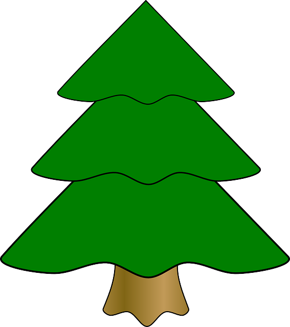 Transparent Christmas Christmas Tree Drawing Fir Pine Family for Christmas