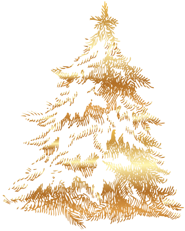 Transparent Christmas Tree Spruce Tree Fir Pine Family for Christmas