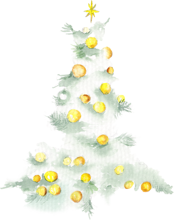 Transparent Christmas Christmas Tree Advertising Fir Pine Family for Christmas